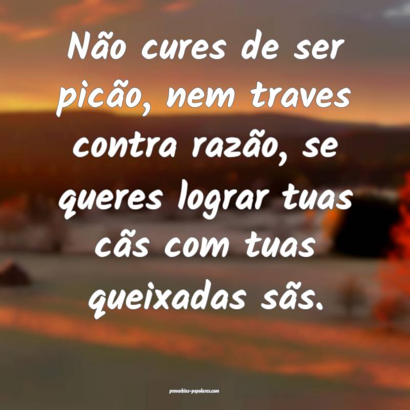 Não cures de ser picão, nem traves contra razão, se queres lograr t...