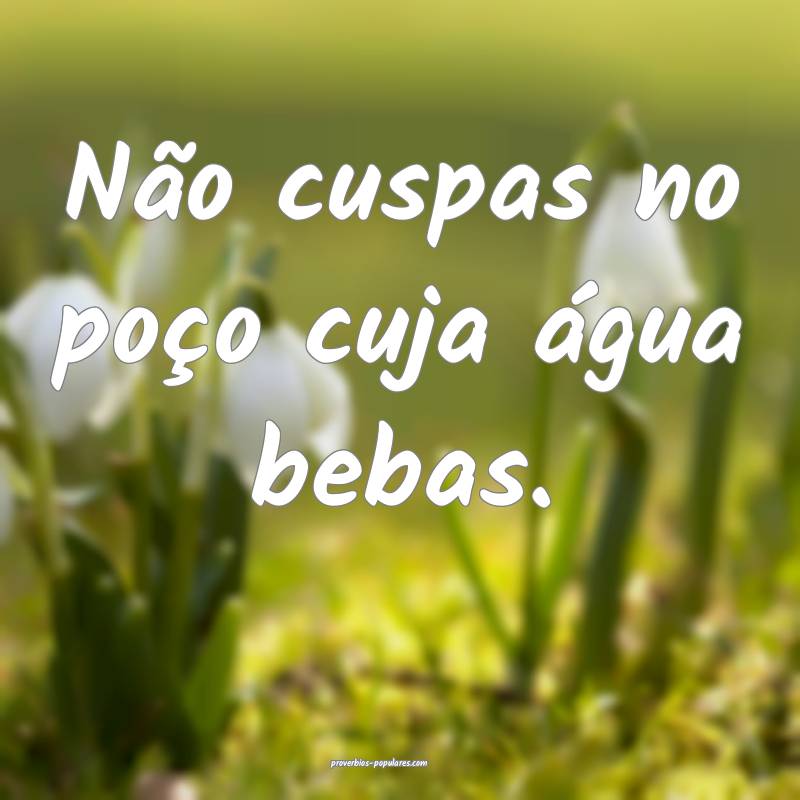 Não cuspas no poço cuja água bebas.
...
