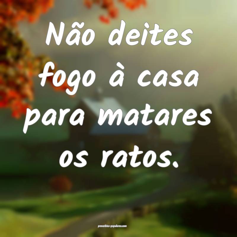 Não deites fogo à casa para matares os ratos.
...