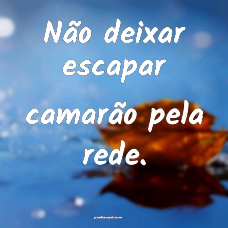 Não deixar escapar camarão pela rede.
...