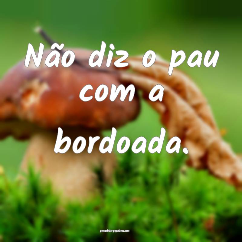 Não diz o pau com a bordoada.
 ...