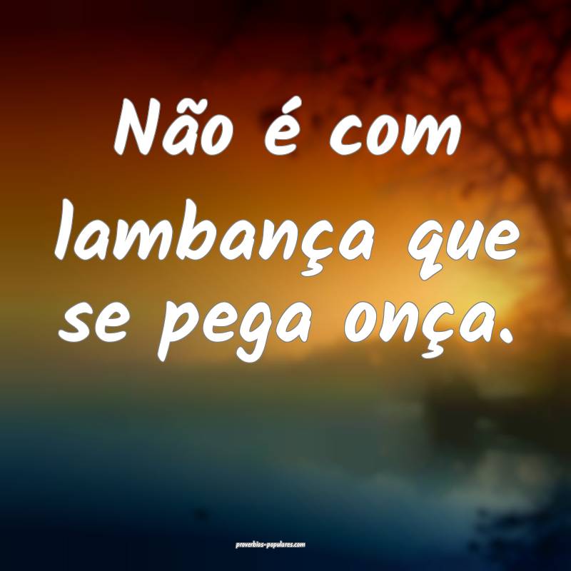 Não é com lambança que se pega onça.
 ...