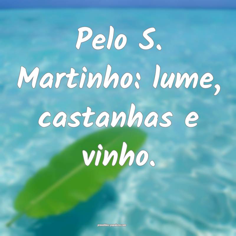 Pelo S. Martinho: lume, castanhas e vinho.
...