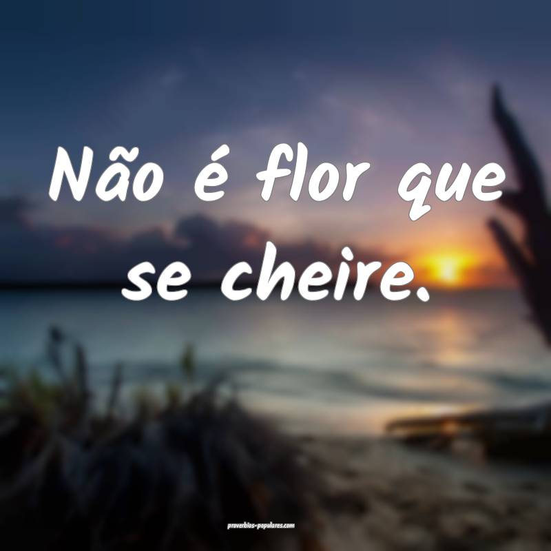Não é flor que se cheire.
...