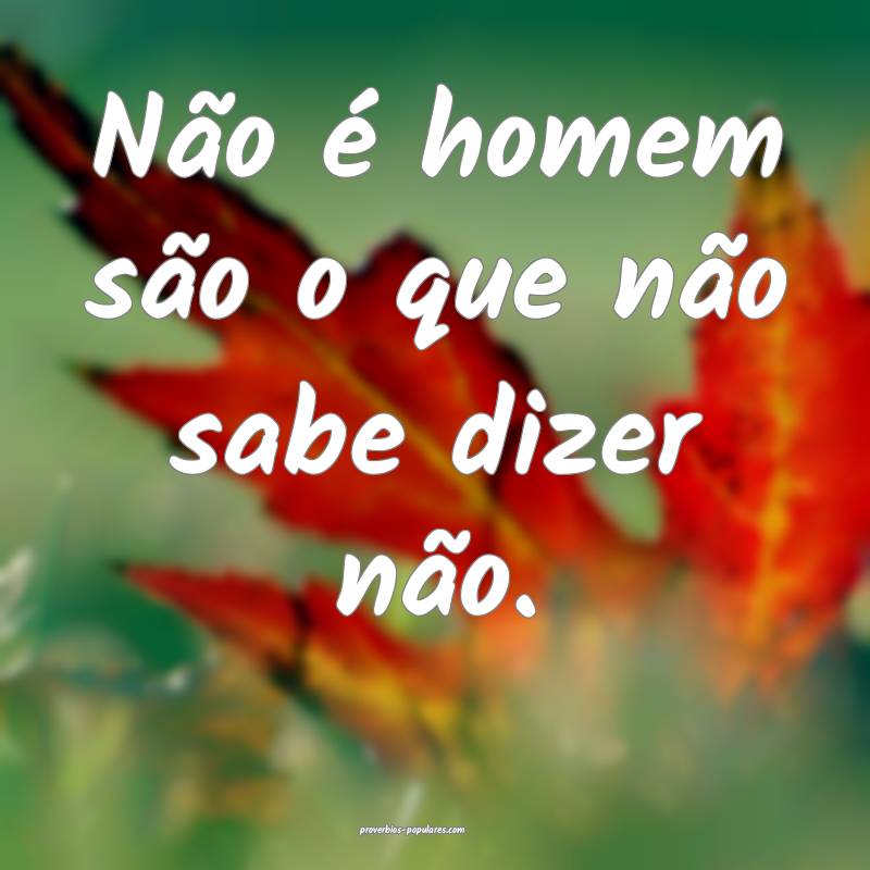 Não é homem são o que não sabe dizer não.
 ...