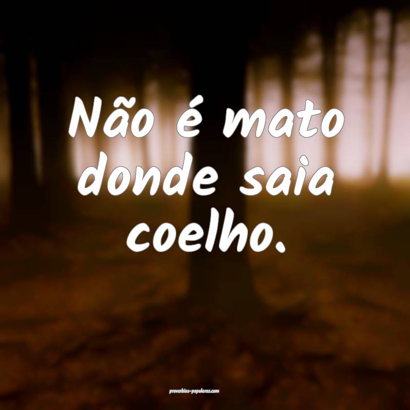 Não é mato donde saia coelho.
...