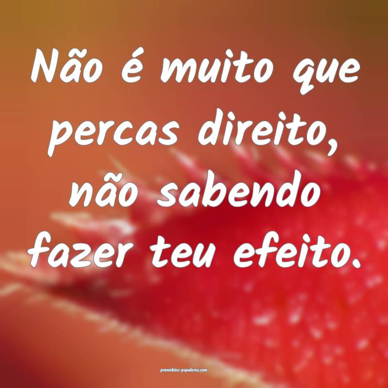 Não é muito que percas direito, não sabendo fazer teu efeito.
...