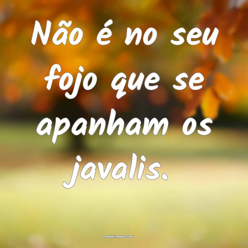 Não é no seu fojo que se apanham os javalis.
 ...