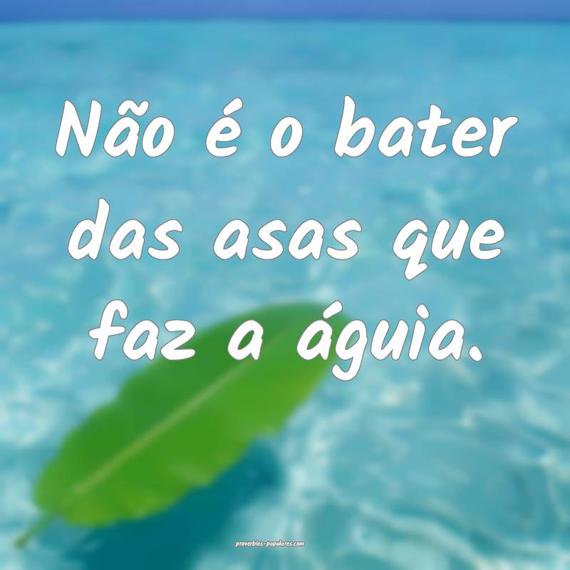 Não é o bater das asas que faz a águia.
...