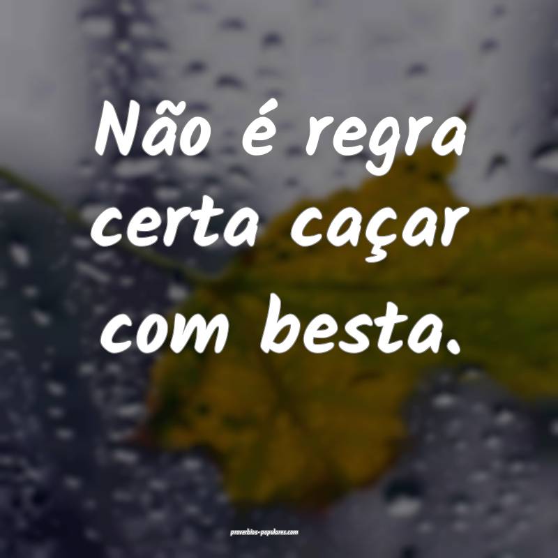 Não é regra certa caçar com besta.
 ...