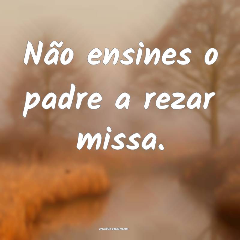 Não ensines o padre a rezar missa.
...