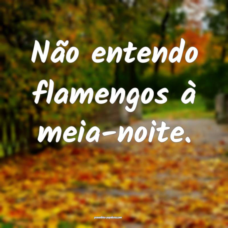 Não entendo flamengos à meia-noite.
...