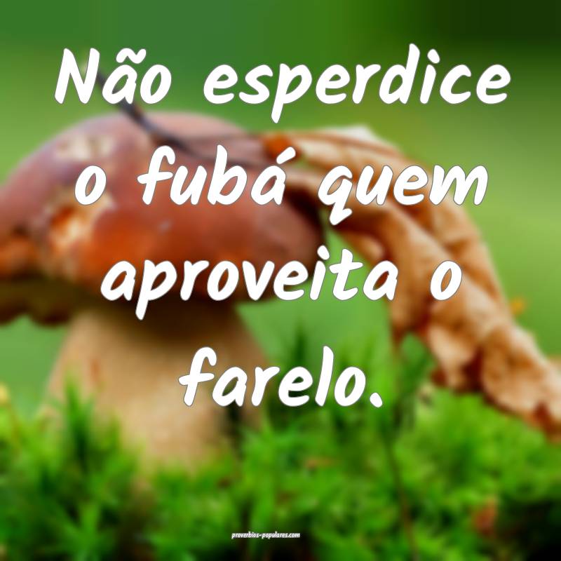 Não esperdice o fubá quem aproveita o farelo.
...