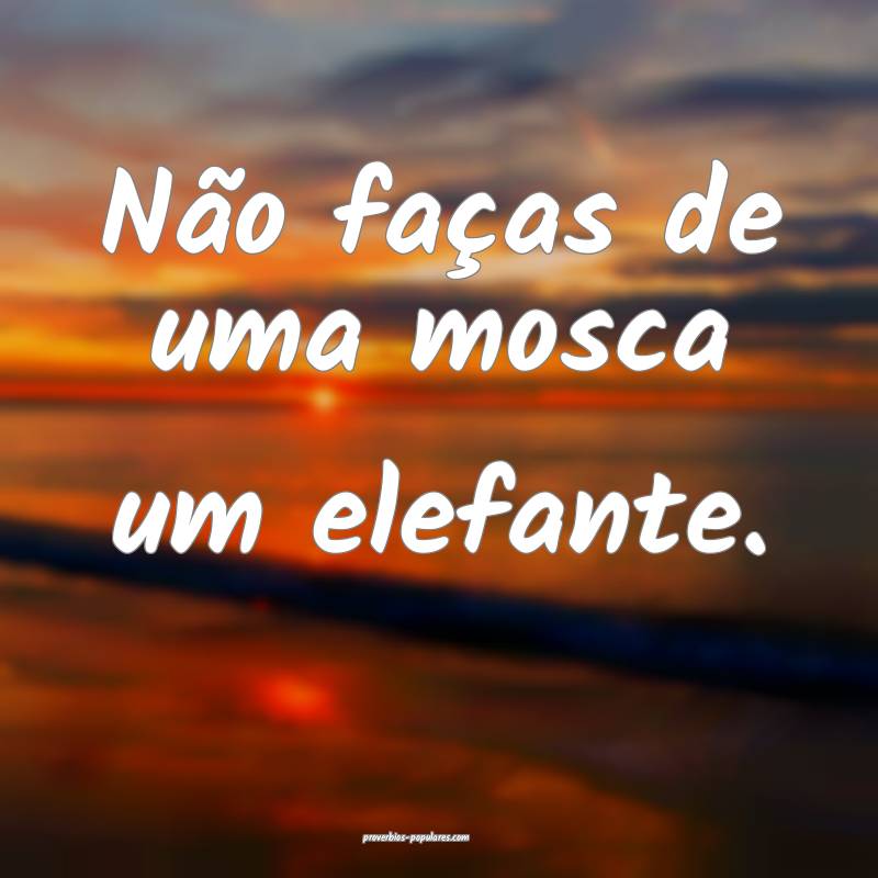 Não faças de uma mosca um elefante.
...