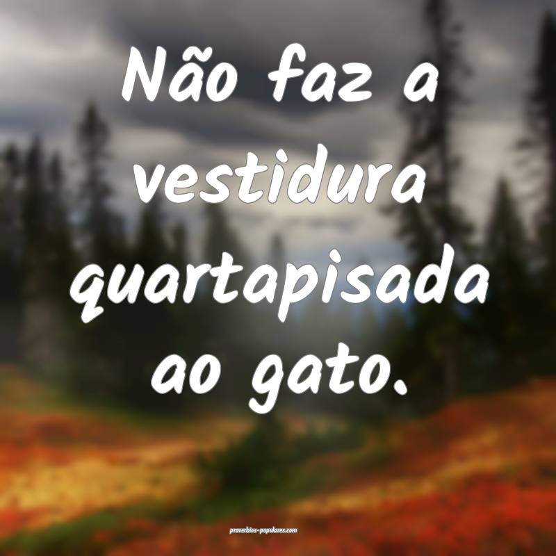 Não faz a vestidura quartapisada ao gato.
 ...
