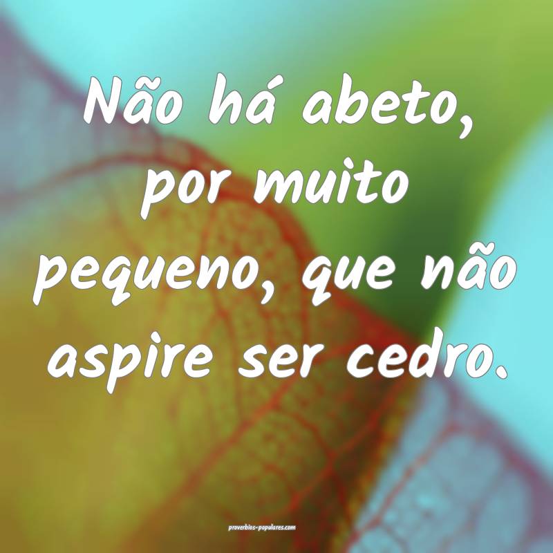 Não há abeto, por muito pequeno, que não aspire ...