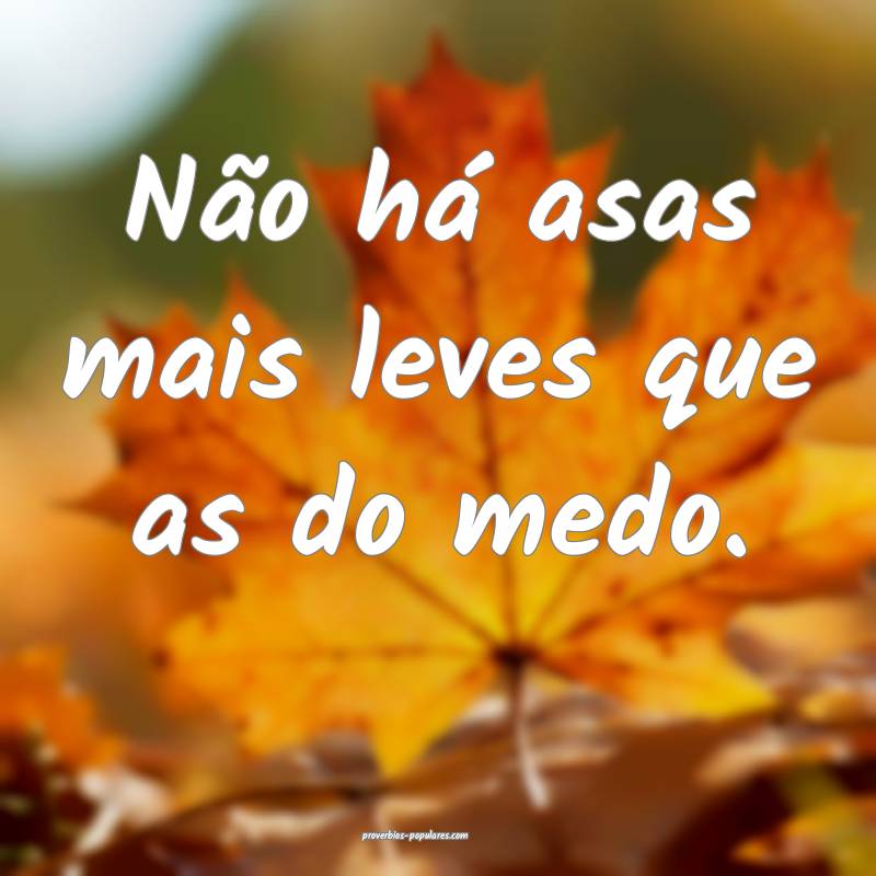 Não há asas mais leves que as do medo.
...