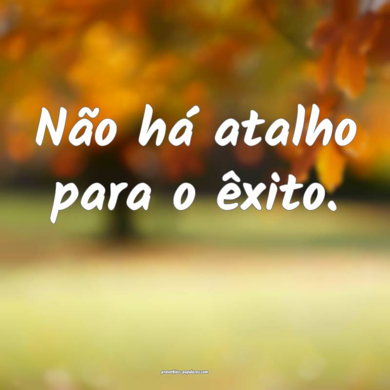 Não há atalho para o êxito.
...