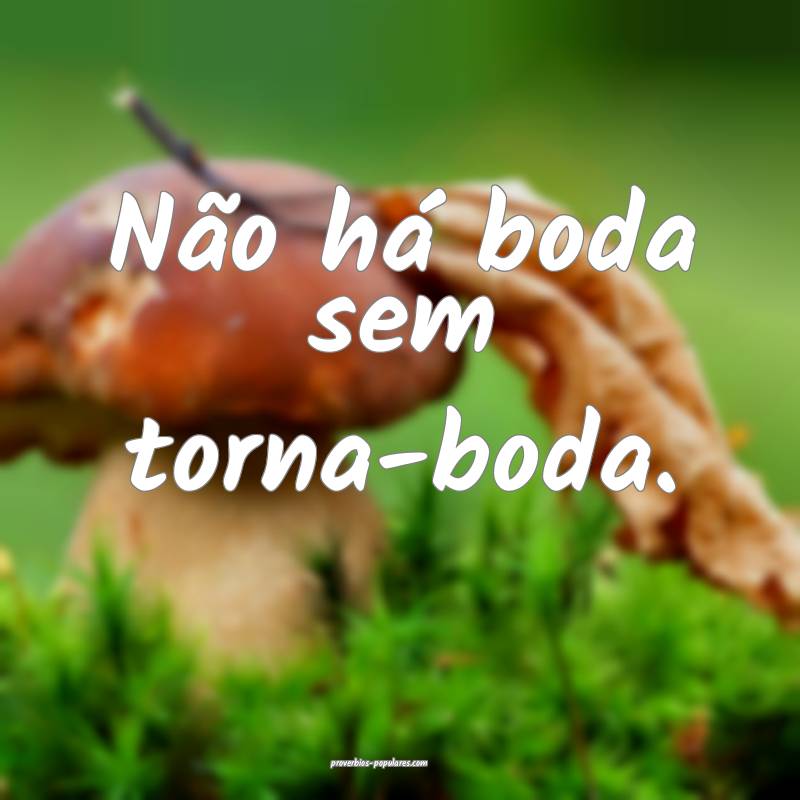 Não há boda sem torna-boda.
...