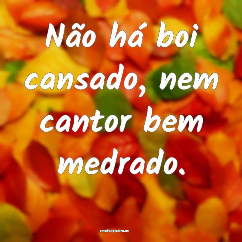 Não há boi cansado, nem cantor bem medrado.
...