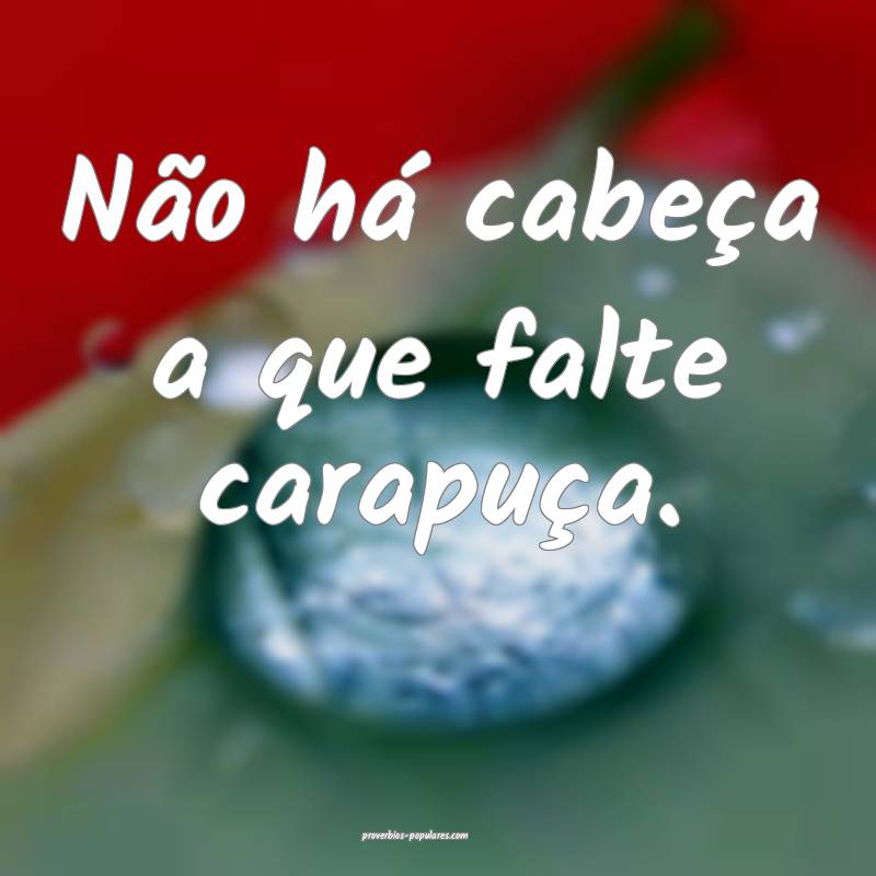 Não há cabeça a que falte carapuça.
...