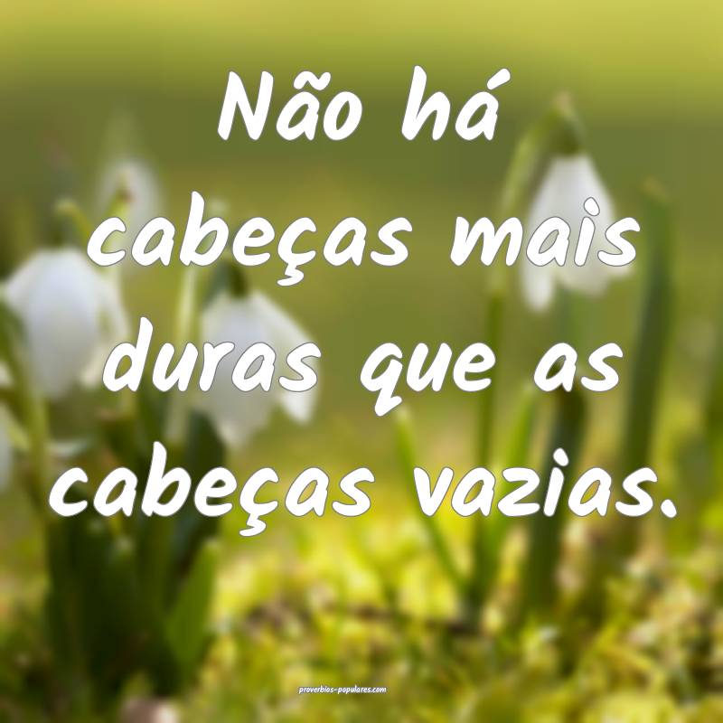 Não há cabeças mais duras que as cabeças vazias.
...
