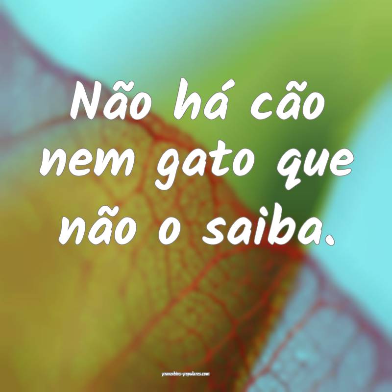 Não há cão nem gato que não o saiba.
 ...
