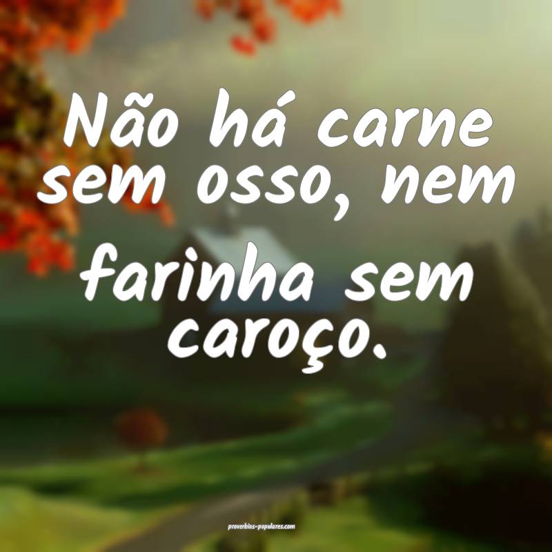 Não há carne sem osso, nem farinha sem caroço.
...