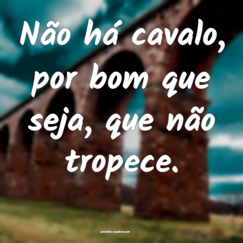 Não há cavalo, por bom que seja, que não tropece.
...
