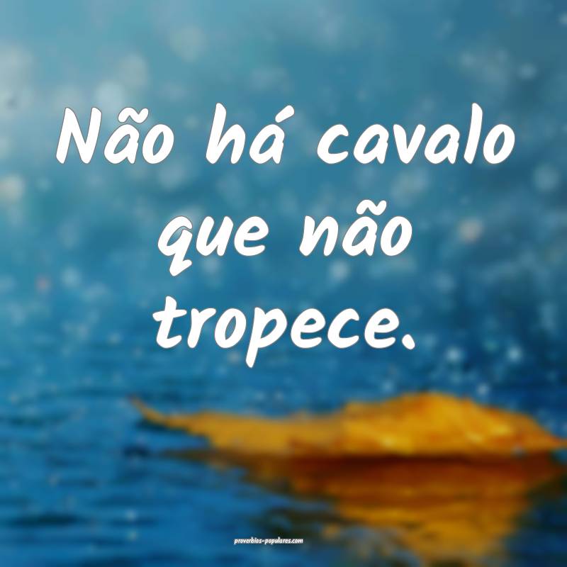 Não há cavalo que não tropece.
...