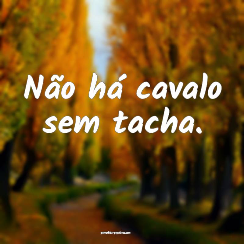 Não há cavalo sem tacha.
 ...