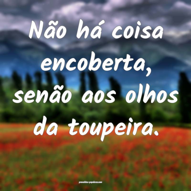 Não há coisa encoberta, senão aos olhos da toupeira.
...