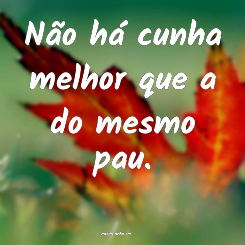 Não há cunha melhor que a do mesmo pau.
...