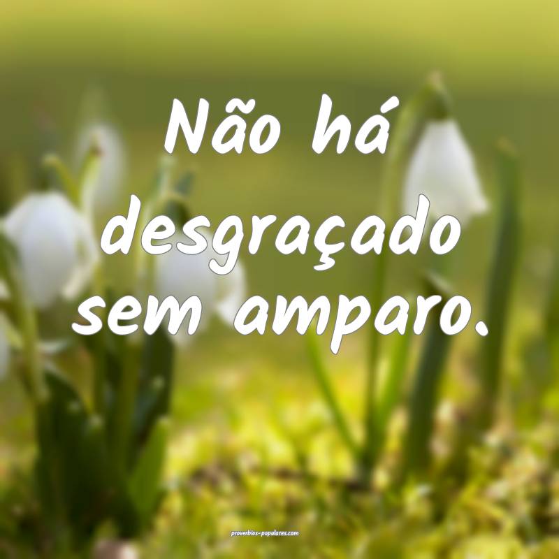 Não há desgraçado sem amparo.
 ...