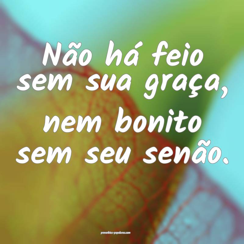 Não há feio sem sua graça, nem bonito sem seu senão.
...