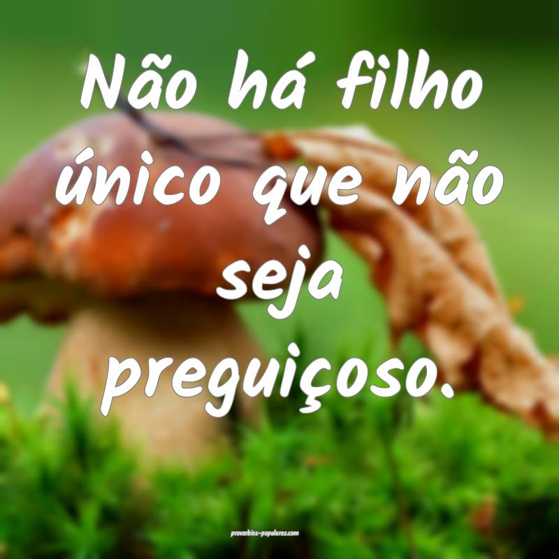 Não há filho único que não seja preguiçoso.
...