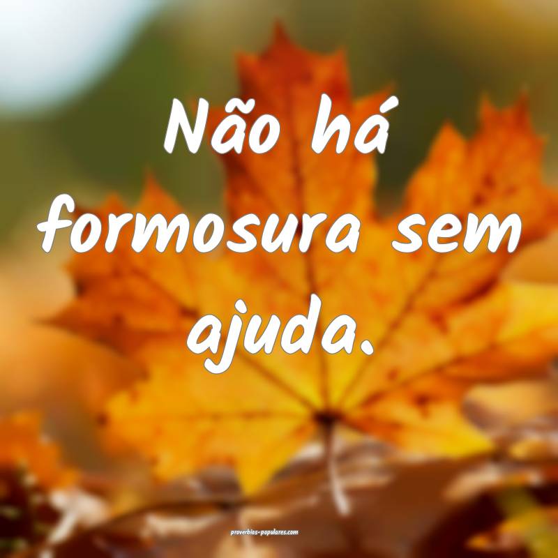 Não há formosura sem ajuda.
 ...