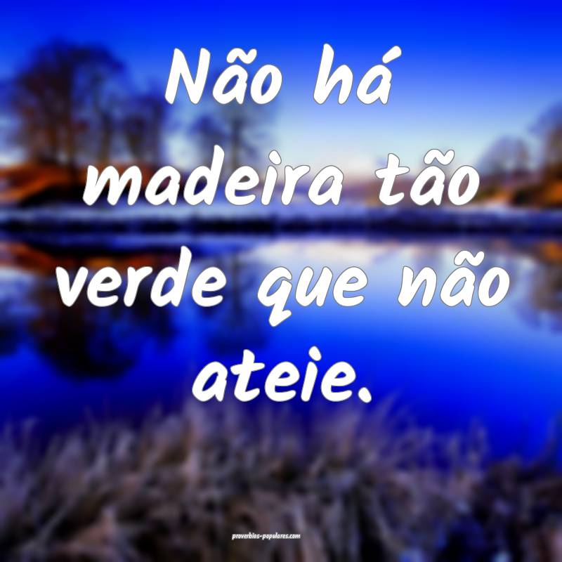 Não há madeira tão verde que não ateie.
...