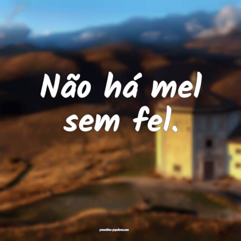 Não há mel sem fel.
 ...