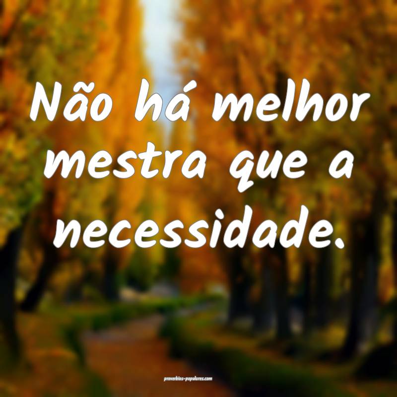 Não há melhor mestra que a necessidade.
 ...