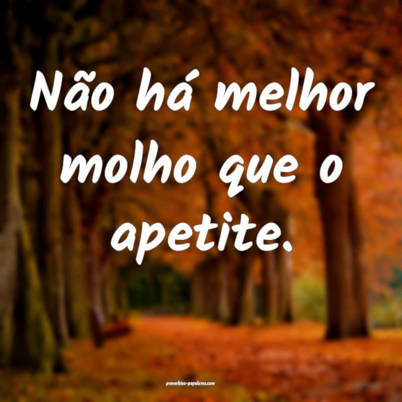 Não há melhor molho que o apetite.
...