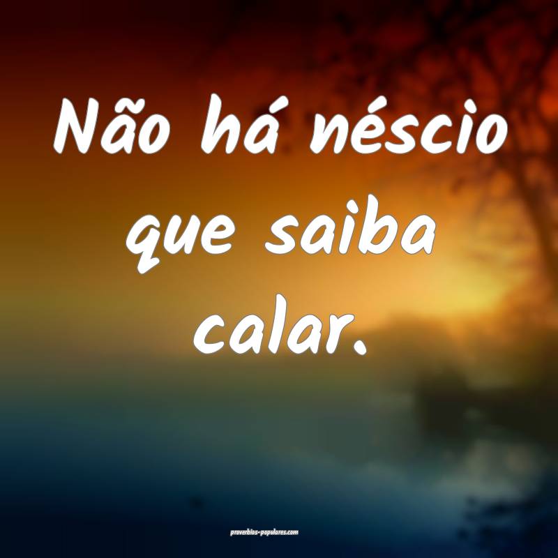 Não há néscio que saiba calar.
...