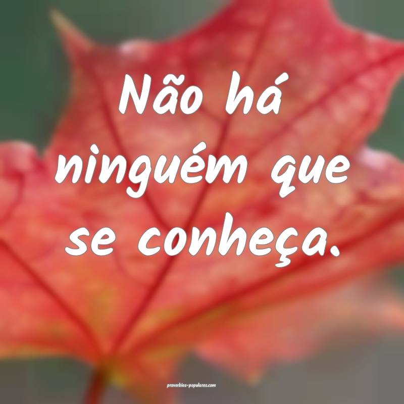 Não há ninguém que se conheça.
...