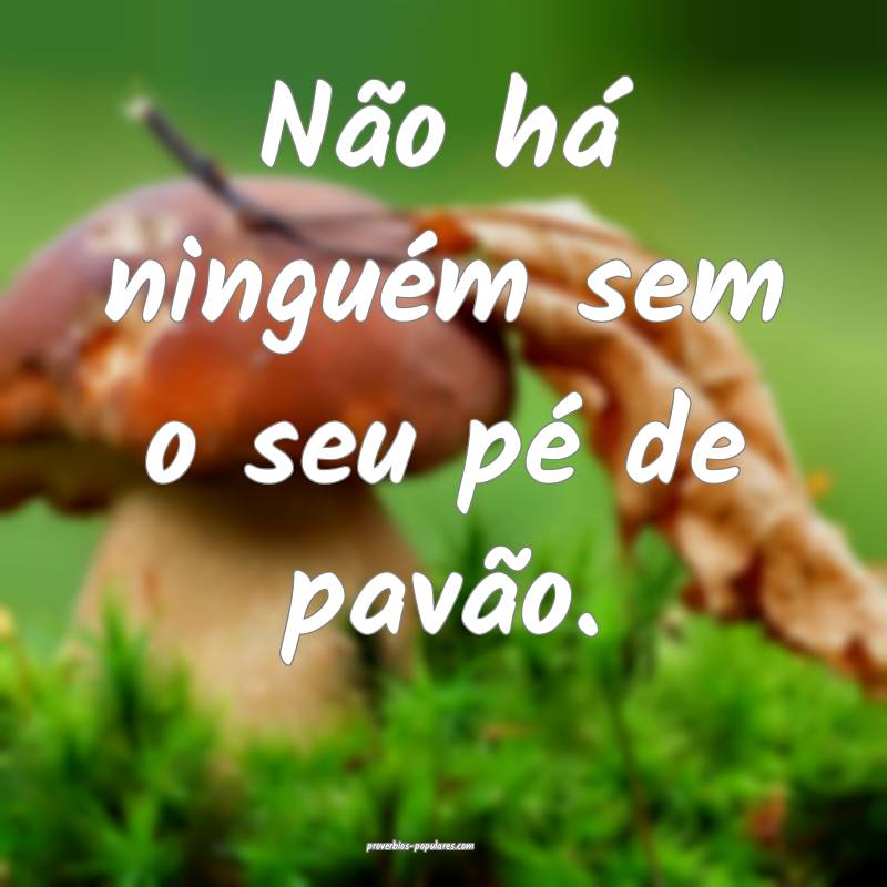 Não há ninguém sem o seu pé de pavão.
...