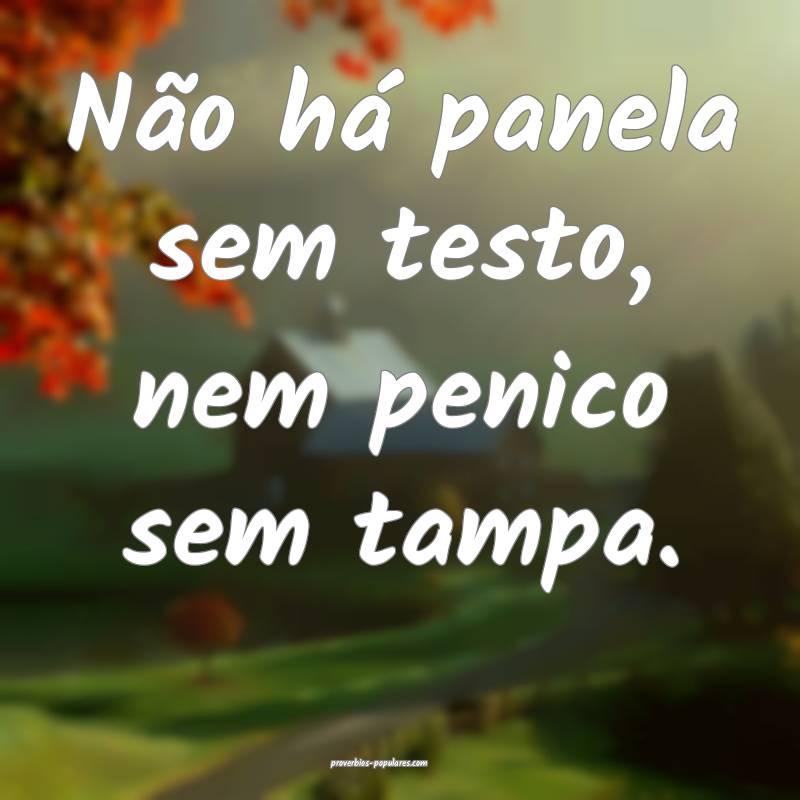 Não há panela sem testo, nem penico sem tampa.
...