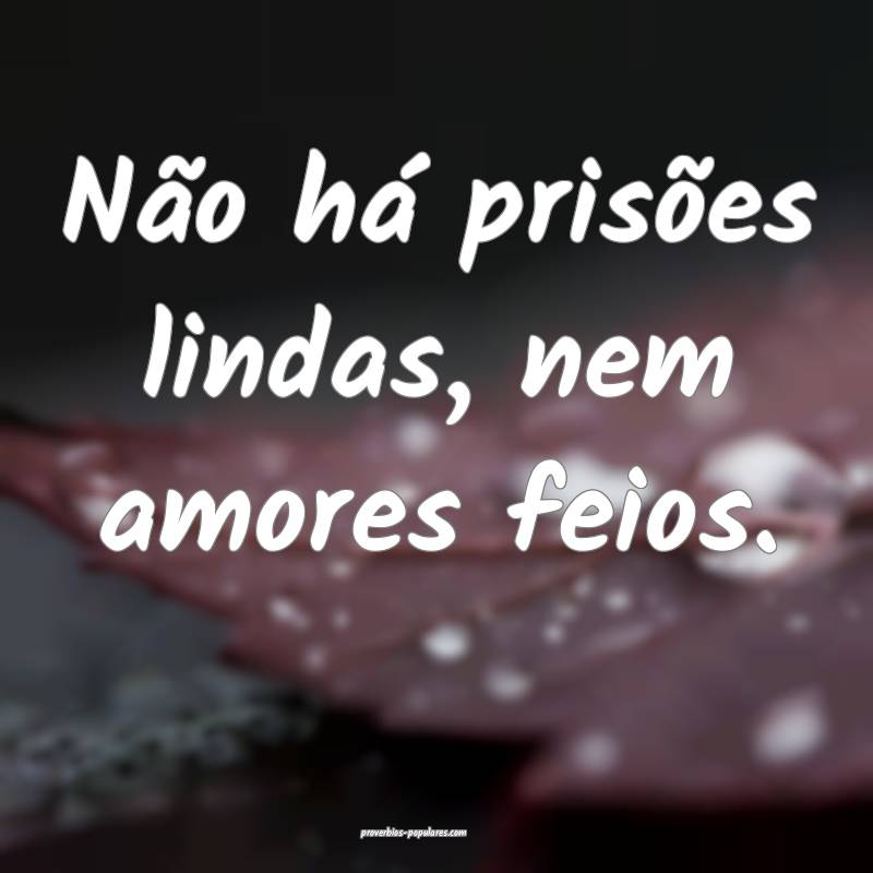 Não há prisões lindas, nem amores feios.
...