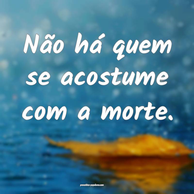 Não há quem se acostume com a morte.
...