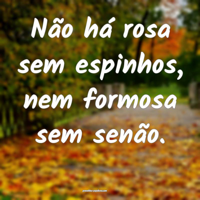 Não há rosa sem espinhos, nem formosa sem senão.
...