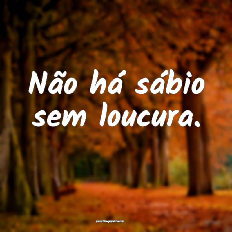 Não há sábio sem loucura.
...