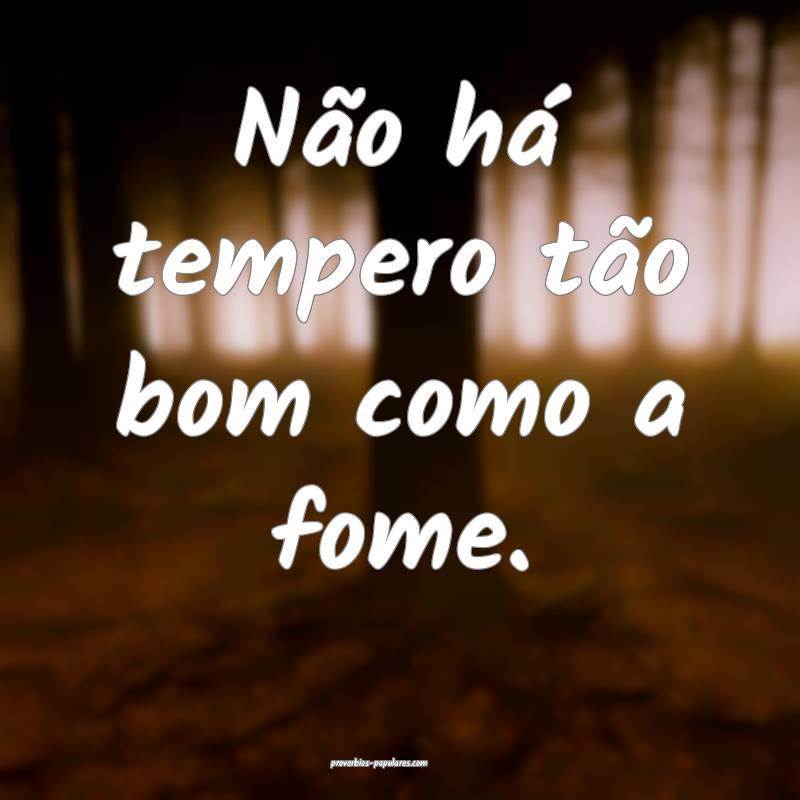 Não há tempero tão bom como a fome.
 ...